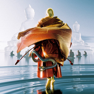 女性裸体啪啪网站
