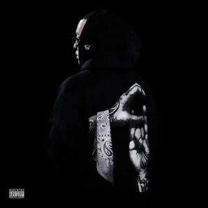 女性裸体啪啪网站
